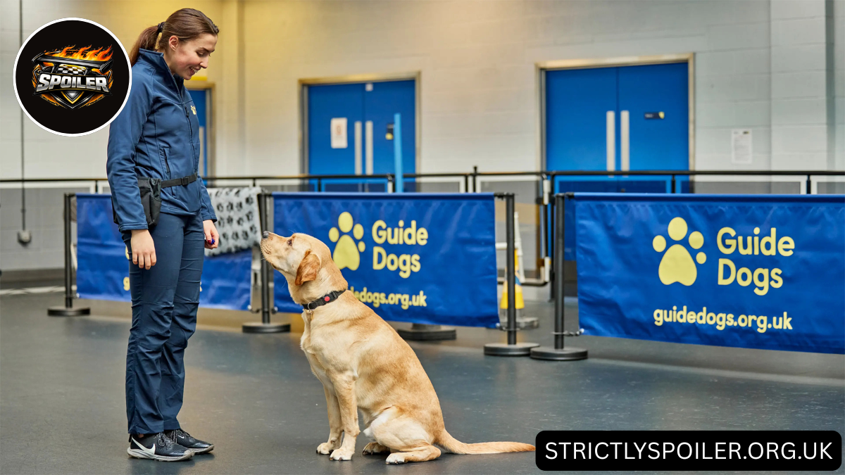 Guide Dogs Jobs