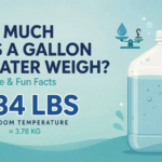 How Much Does a Gallon of Water Weigh? (Easy Guide & Fun Facts)